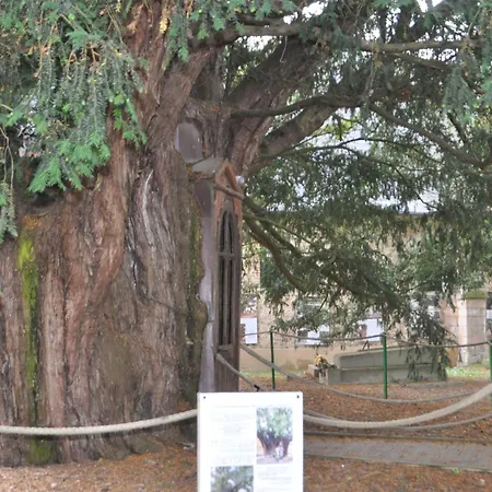 Au Chateau Des Ifs La Haye-de-Routot