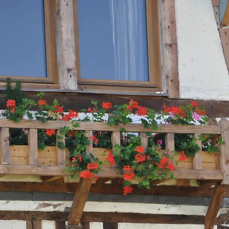 Au Chateau Des Ifs *