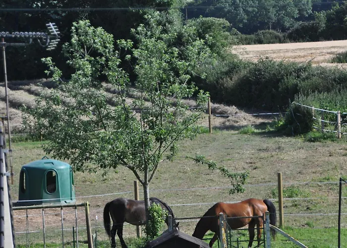 Au Chateau Des Ifs Holiday home *