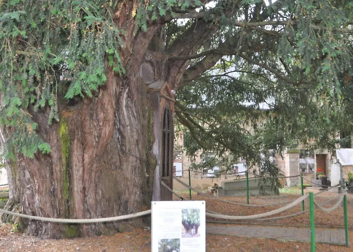 Au Chateau Des Ifs La Haye-de-Routot