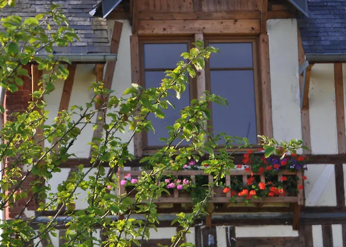 Au Chateau Des Ifs *